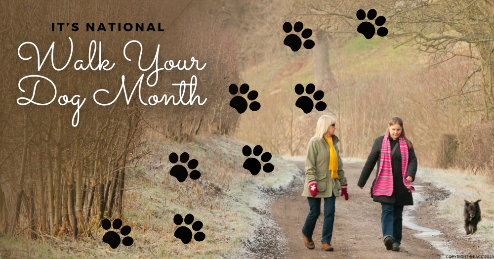 national walk your dog month